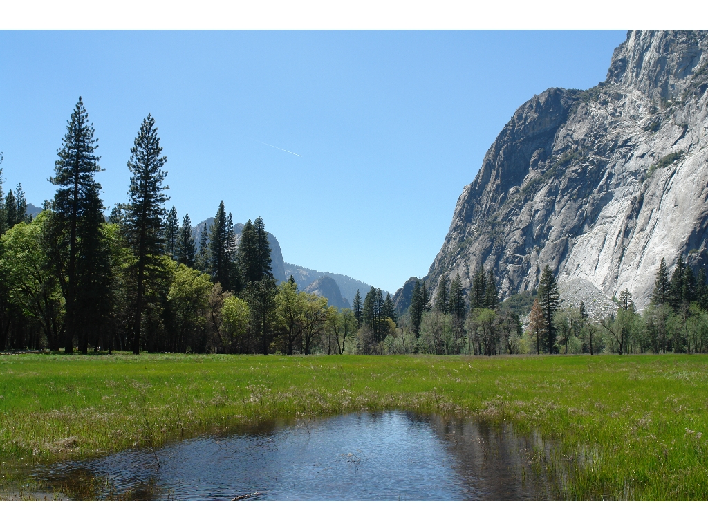    (Yosemite National Park).